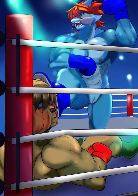 Wild-Punchers