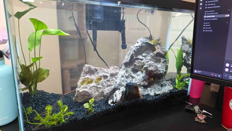 Small Update