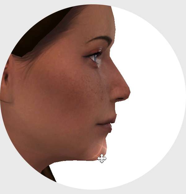 pirumxsim