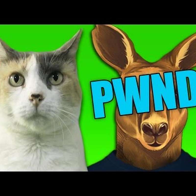 Kemono