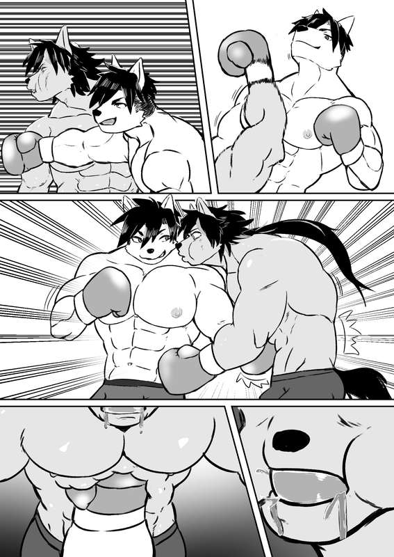 Wild-Punchers