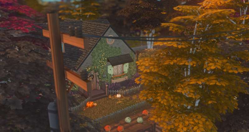Autumn cozy cottage 🍂