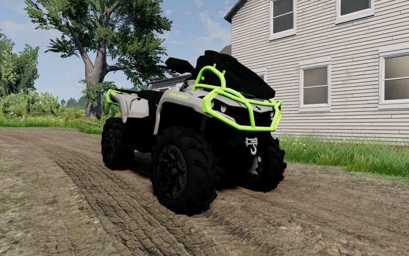 MosesCustoms