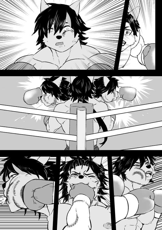 Wild-Punchers