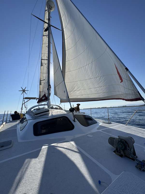 sailing-pickle-family