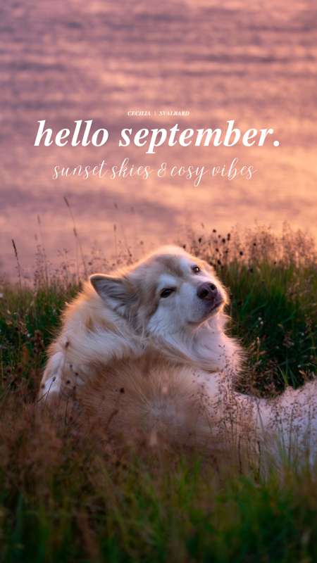 Hello September ✨ Wallpaper