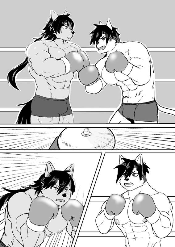 Wild-Punchers