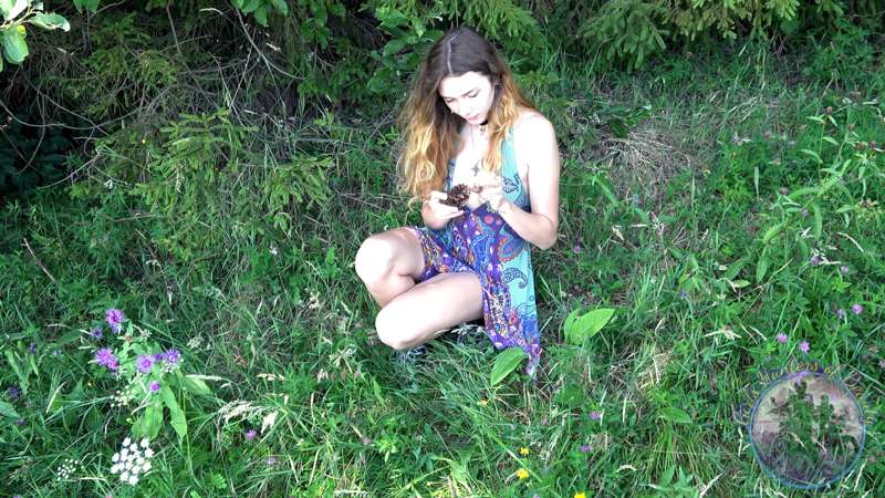 girls-hunters-of-beauty