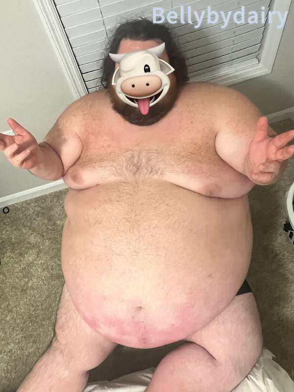 bellybydairy