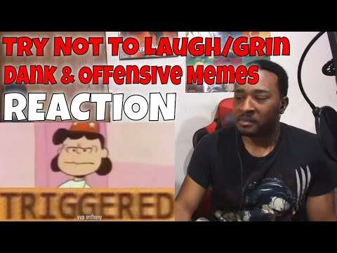 Try Not To Laugh Dank Meme And Offensive edition #2 REACTION | DaVinci REACTS